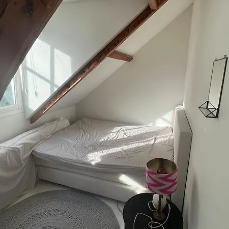 Villa Unique Monumental Near Amsterdam&haarlem